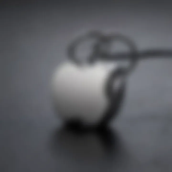 Apple keychain tracker showcasing its innovative features