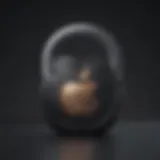 Apple logo with lock symbol