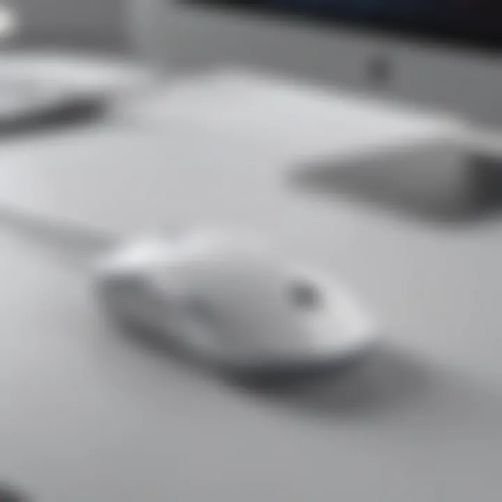 Wireless Apple Mouse in Modern Office Setting