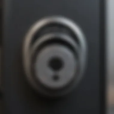 Digital lock symbol on iPhone screen