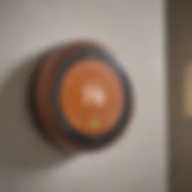 Energy-Efficient Nest Thermostat Features