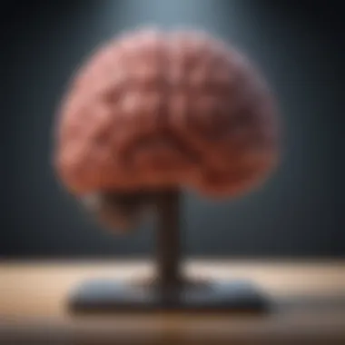 Cognitive Benefits of Word Games A brain illustration highlighting cognitive development