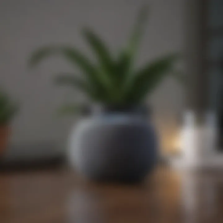 Innovative smart connectivity features of HomePod Mini