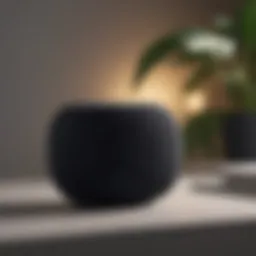 Minimalistic and sleek design of HomePod Mini