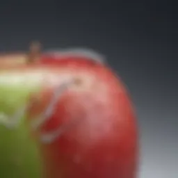 Elegant design showcasing the Apple Air Skin's sleek aesthetics