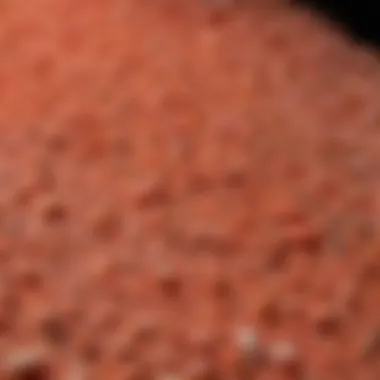 Close-up of iPhone XR's coral shade highlighting its texture and finish