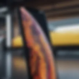 Close-up of iPhone X display showcasing vibrant colors.
