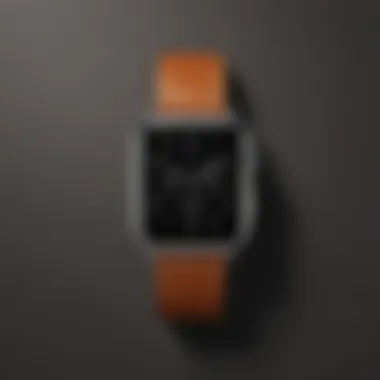 A luxurious display of Hermès Apple Watch materials emphasizing craftsmanship.