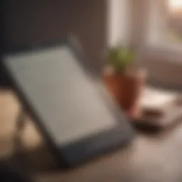 Close-up of e-reader displaying text in bright sunlight