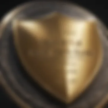 Shiny golden shield symbolizing protection of text data