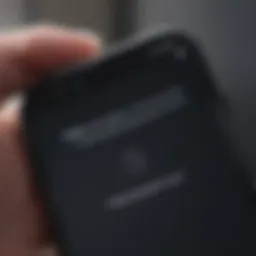 Apple ID login screen on iPhone 7 Plus
