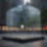 Iconic Glass Cube Entrance of Apple Store on 5th Ave