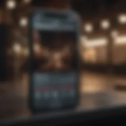 User interface of iOS Lightroom showcasing editing tools.