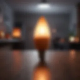 Elegant Lighting Design