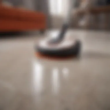 Dual Functionality of Roborock Vacuum and Mop