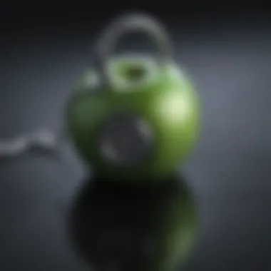 Apple Keychain Functionality Infographic on Apple Keychain functionality