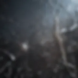 Close-up of a cracked iPhone screen