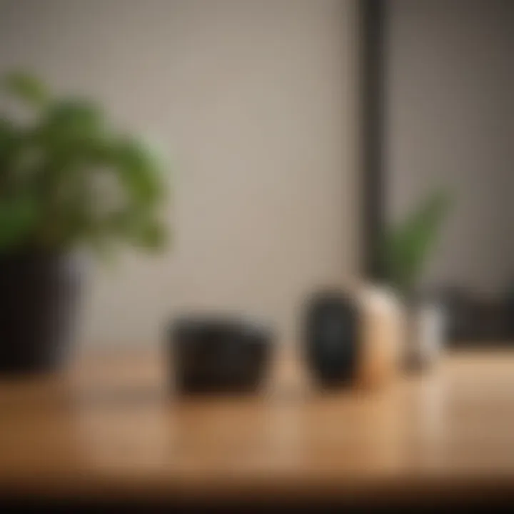 Ecobee Lil Bee with Apple HomeKit Interface