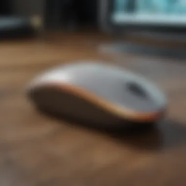 Customizable Features of Logitech Magic Mouse