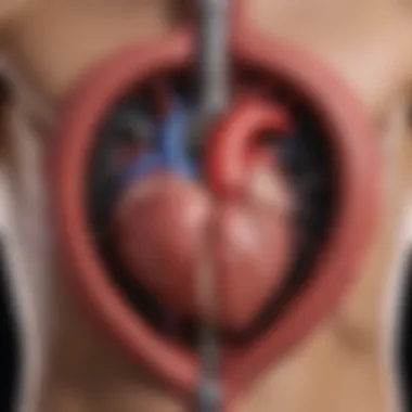 Illustration of Vital Organ Protection